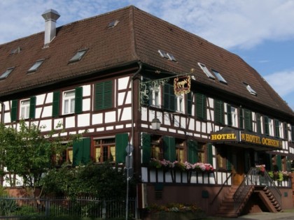 Фото: Ochsen